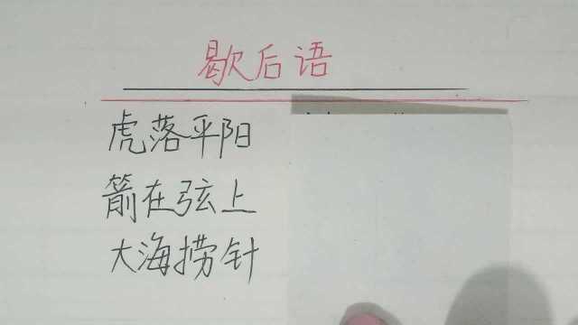 歇后语:大海捞针