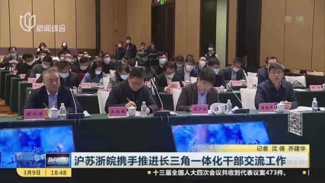 沪苏浙皖携手推进长三角一体化干部交流工作