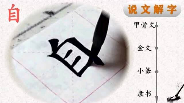 田楷欧体“心经”自字书法,“自”字说解——写好汉字一笔一画,读懂汉字前世今生(10)