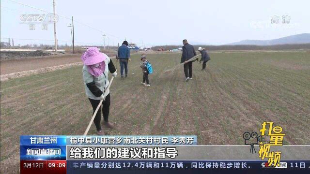 当好“田保姆”!甘肃兰州冬小麦返青,农技专家深入农田指导