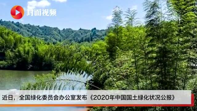 国家林草局:2020年我国共完成造林677万公顷