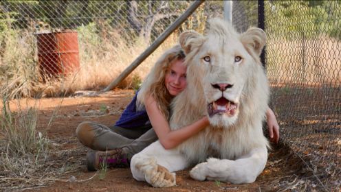 女孩独养大狮子，成为兽王“母亲”，狩猎者都让她三分！