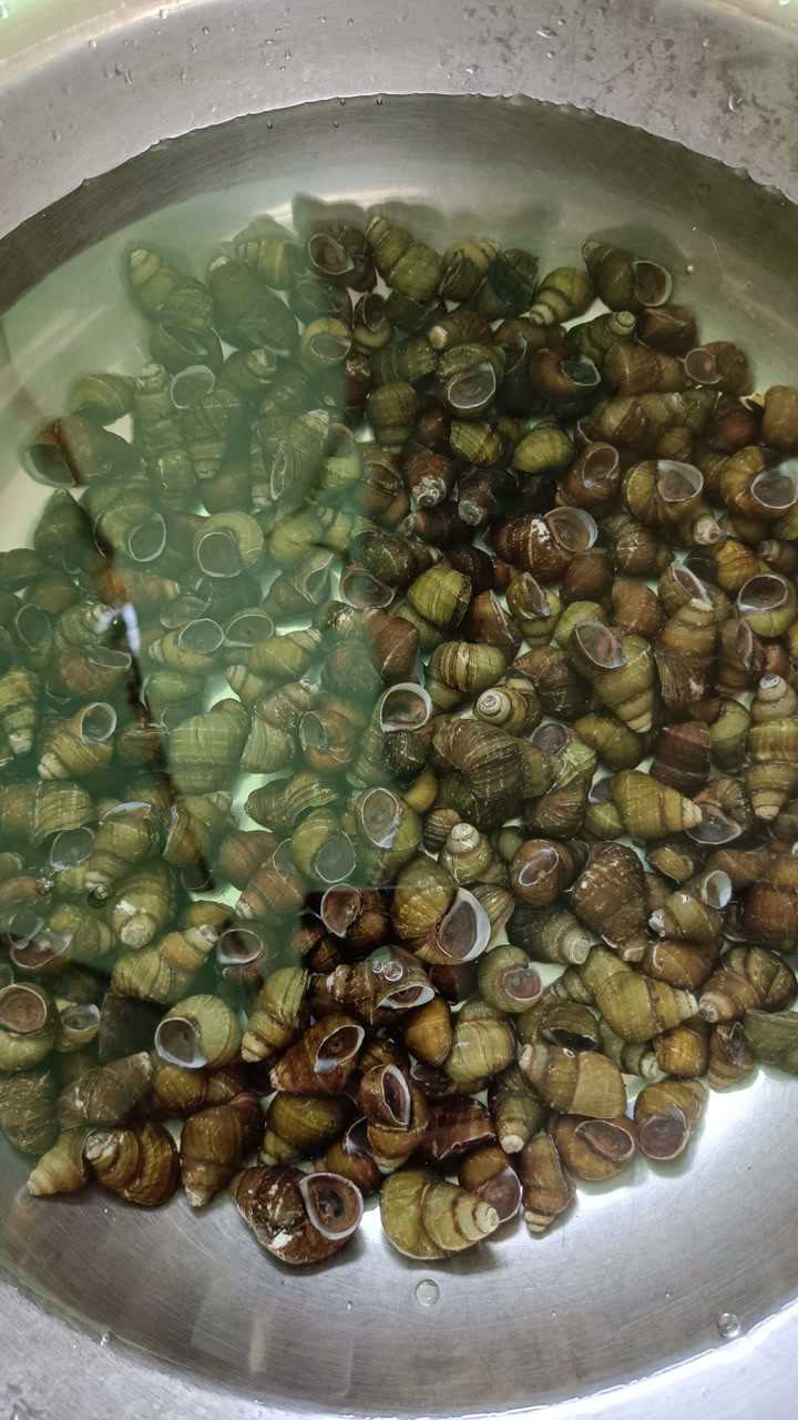 河里摸的螺丝壳太脏,一招轻松搞定.