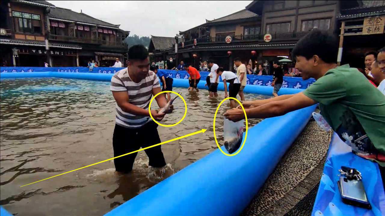 小伙徒手抓鱼不到两分钟就抓了一袋鱼能做到这样的没几人