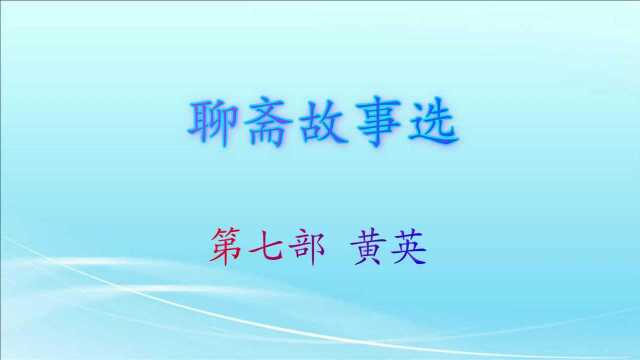 聊斋故事选第七部黄英