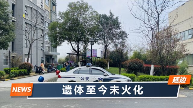 合肥妈妈带儿女坠亡,妹妹还原事前4天轨迹,喊话姐夫快点出现