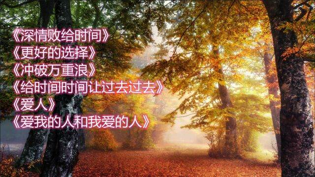 《深情败给时间》《更好的选择》《冲破万重浪》《给时间时间让过去过去》《爱人》《爱我的人和我爱的人》