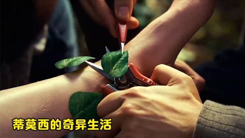 《蒂莫西的奇异生活》：男孩腿上长了8片叶子，植物学家都束手无策，一刀下去剪刀竟然断了！