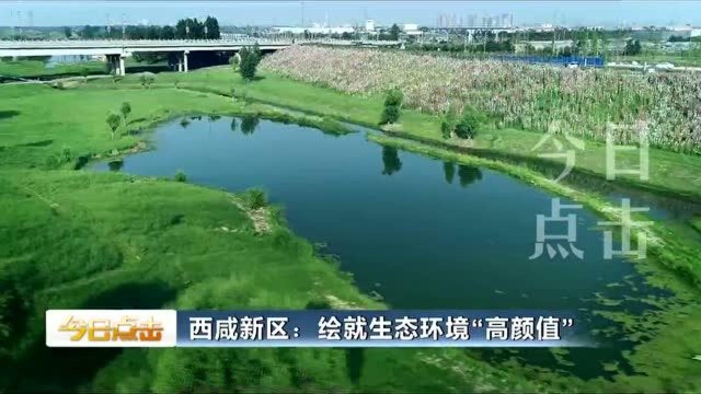 西咸新区:绘就生态环境“高颜值”