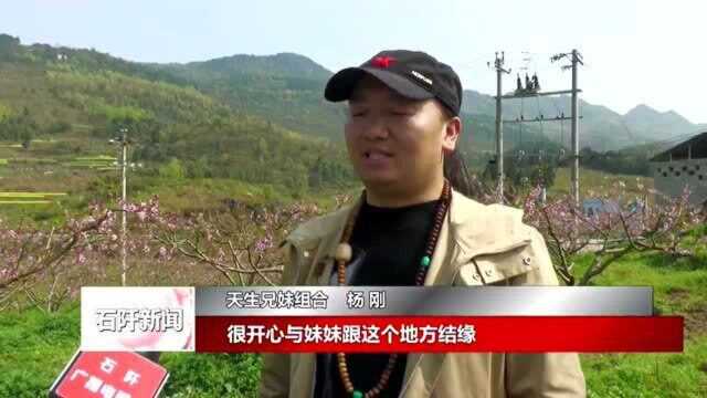 石阡:武陵山黄金桃直播认领 开启助农增收新模式