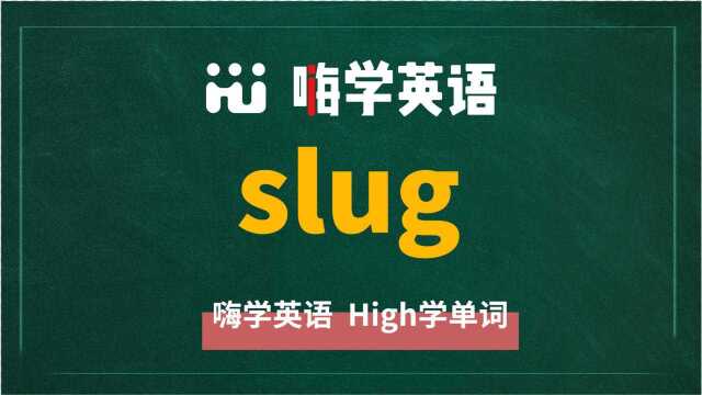 英语单词slug是什么意思,同根词有吗,同近义词有哪些,相关短语呢,可以怎么使用,你知道吗