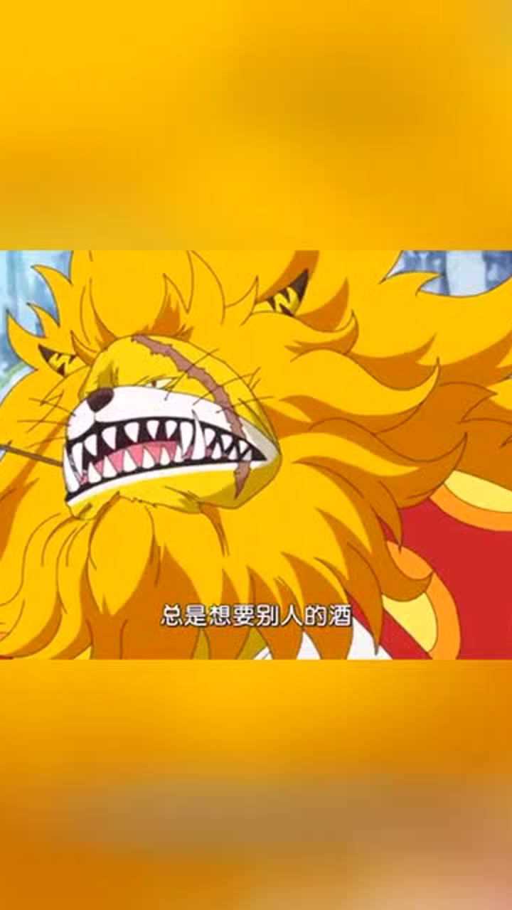 海贼王:好温柔的猫老大马尔科