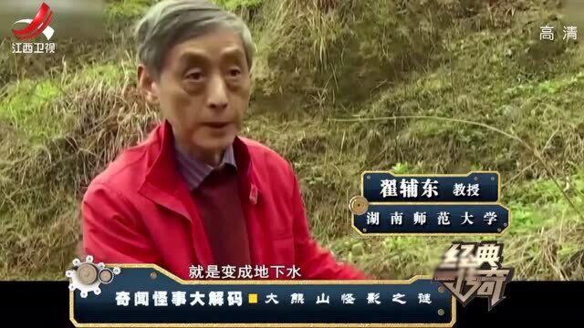 大熊山惊现“红毛野人”,专家怀疑是稀有动物:藏酋猴