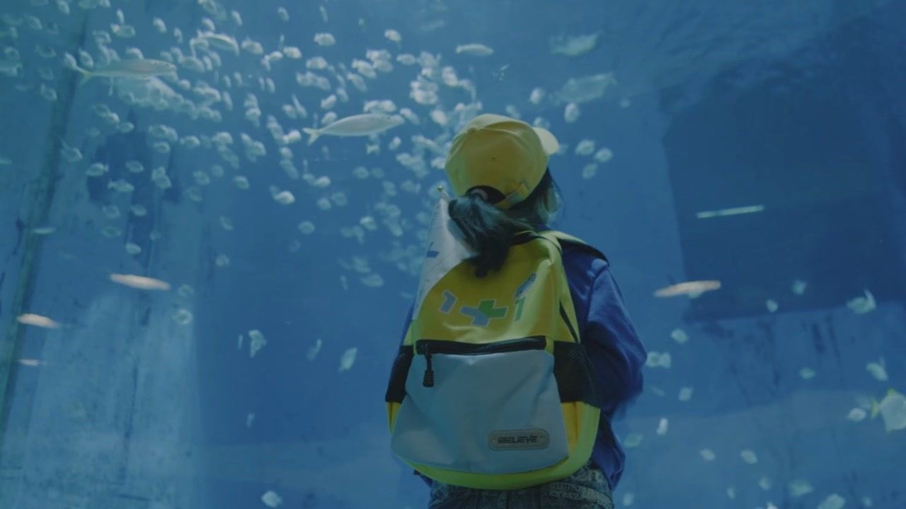 国家能源集团资本控股11公益社第二季守护星星拥抱海洋主题公益活动