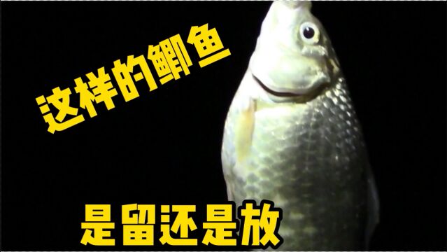 夜钓云蒙湖,鱼情和现在春季的夜晚一样,让人受不了