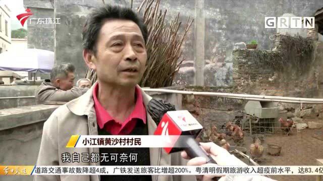 清远:配合“美丽乡村”人畜分离 集中重建房屋竟是违建