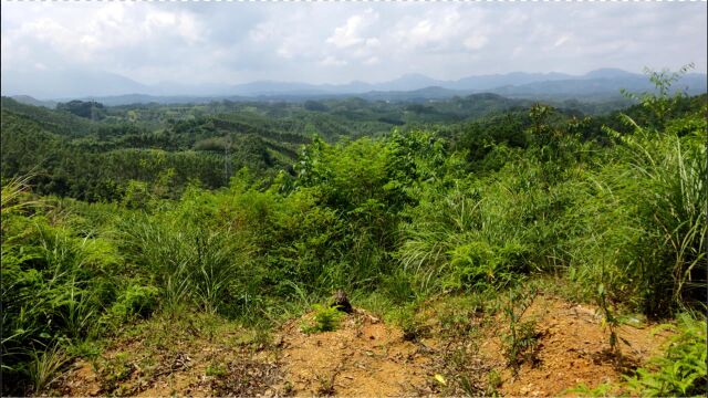 阴宅地理坟地祖坟墓地风水宝地,风水大师寻龙点穴风水教学视频