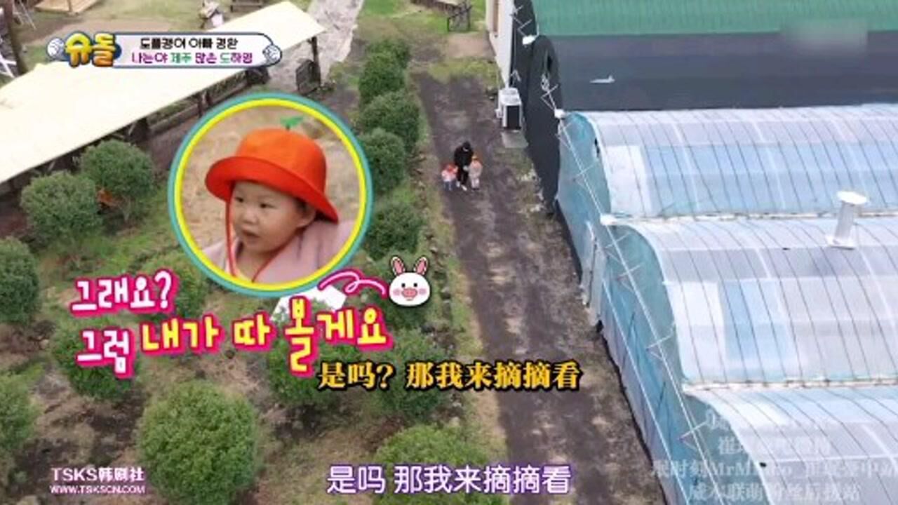 《超人回来了》E384河颖变身“鲜桔小丸子!”_高清1080P在线观看平台_腾讯视频