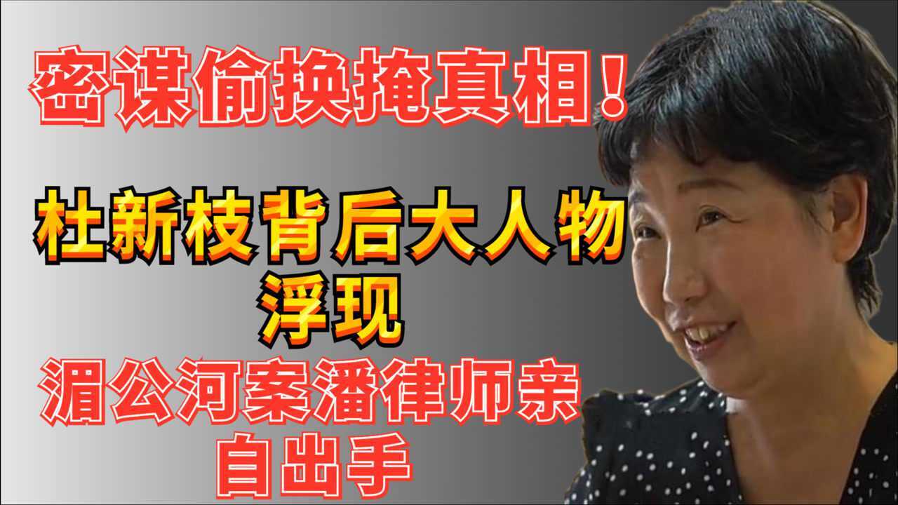 杜新枝背后大人物浮现,湄公河案潘律师亲自出手