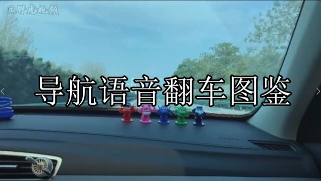 导 航 语 音 翻 车 图 鉴