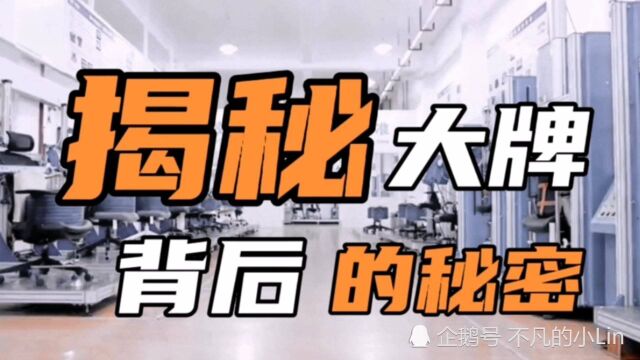 董小姐为何在一次论坛上,大声对观众说,买椅子千万别买国际名牌