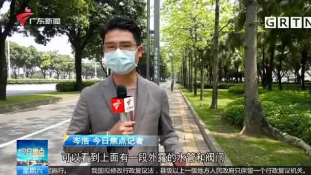 佛山禅城 路边绿化灌溉设施 竟被私家车“蹭水”洗车