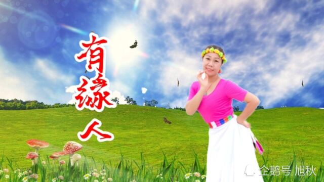 美丽的蓝莲花,一曲《有缘人》送给擦肩而过的你