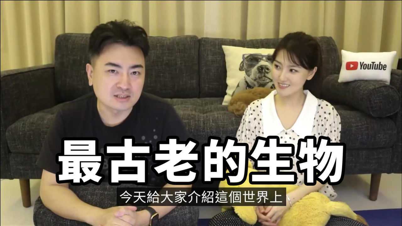 最古老的生物-老高与小茉 kuaizero