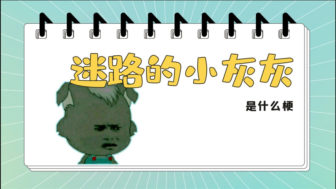 抖音爆火的【迷路的小灰灰】是什么梗_腾讯视频