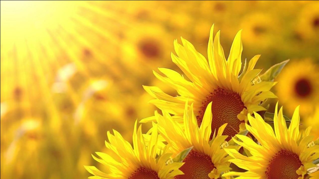 大势至菩萨念佛圆通章慧平法师读诵