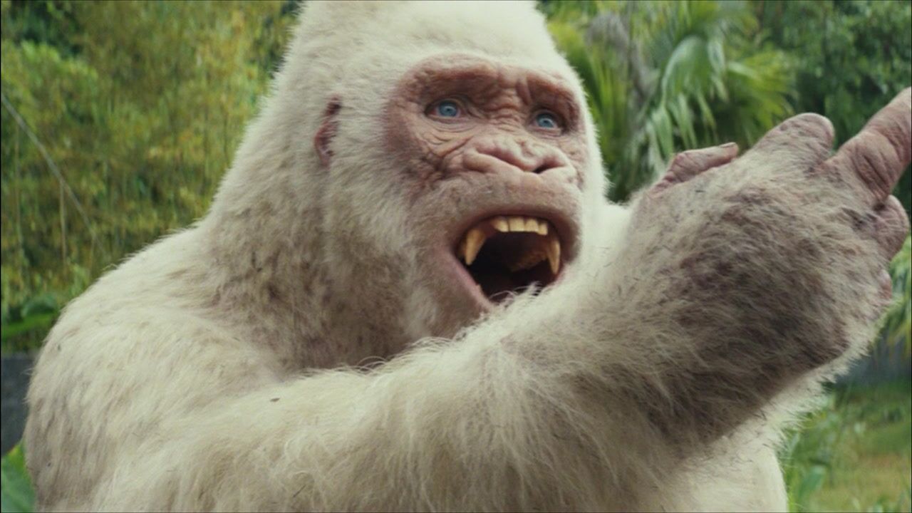 狂暴巨兽巨石强森携手白色金刚抵挡巨兽攻击城市