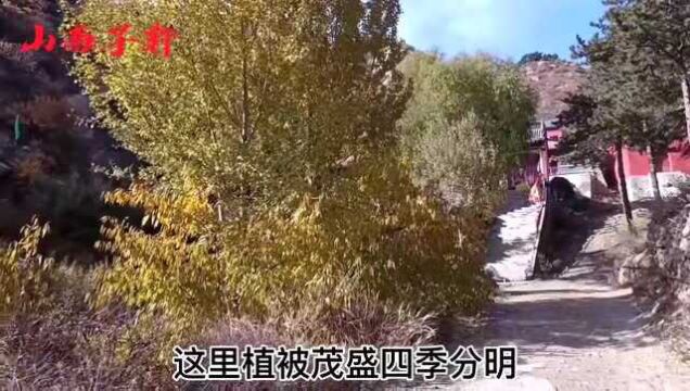 在深山里有一座道观,里面的神像有点吓人