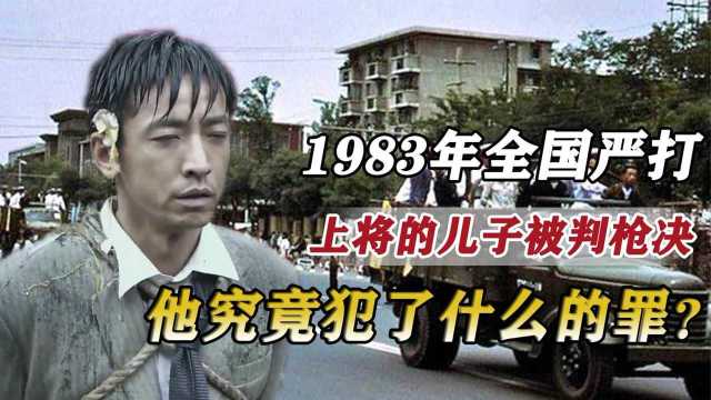 1983年全国进行严打,上将陈再道的儿子被判枪决,他犯了什么罪?