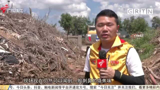 中山:绿地变垃圾点 当地将研究解决方案