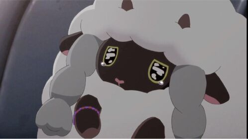 好可爱的毛辫羊