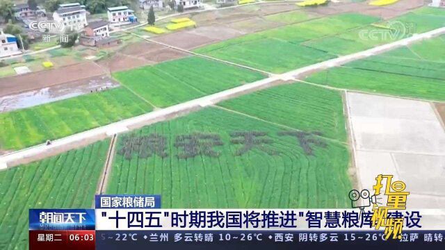 全国粮食和物资储备科技活动周:发布粮食存储保鲜等节粮减损技术