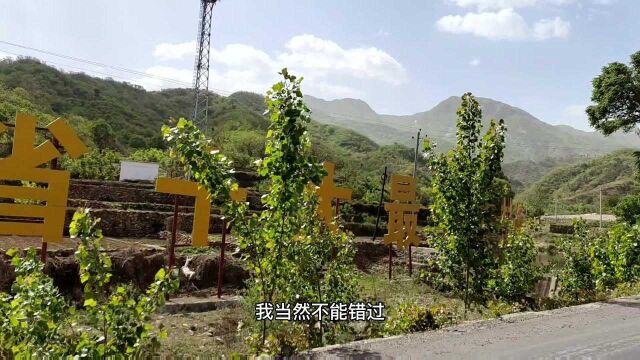 打卡河北休闲农业 邢台市内丘县獐么乡黄岔村