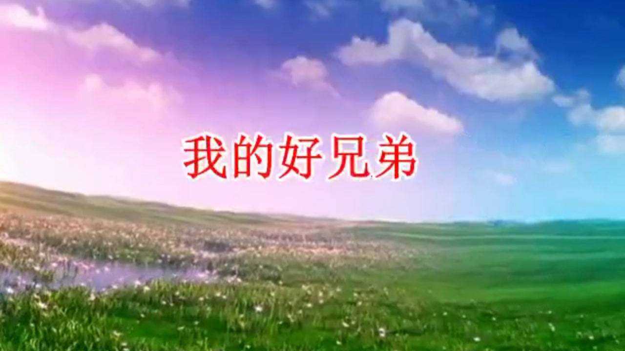 我的好兄弟