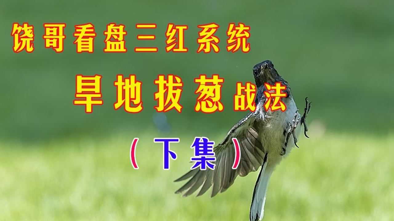 饶哥看盘  |  三红技术之 旱地拔葱战法(下)
