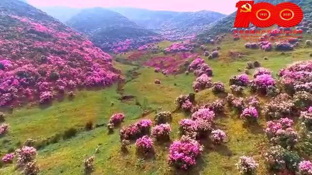 《相约第一百个春天》背景伴奏