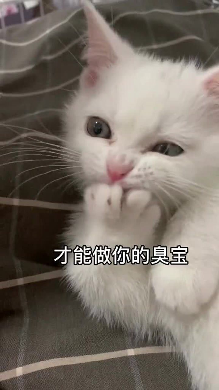 别人不洗澡你叫她臭宝,我洗完澡你叫我香巴佬?