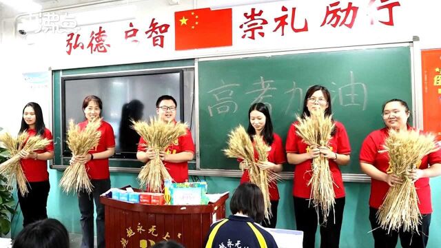 高三老师一早下地割麦子送学生寓意高考丰收 学生:要拿回家供起来