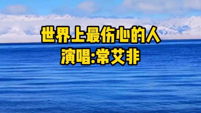 常艾非一首《世界上最伤心的人》伤感情歌,感人动听