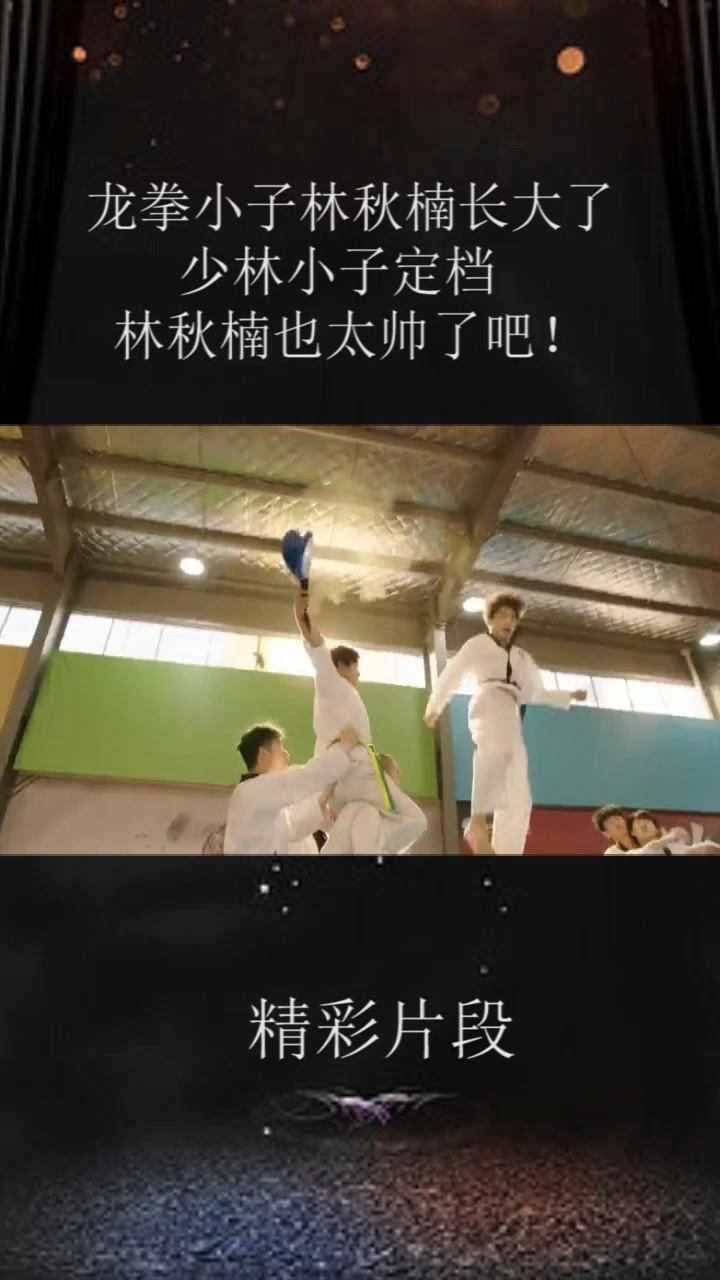 龙拳小子林秋楠长大了少林小子定档林秋楠也太帅了吧电影