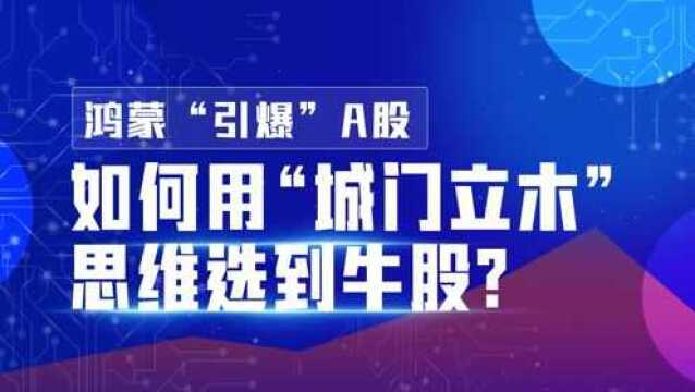 洪榕:鸿蒙“引爆”A股,如何用“城门立木”思维选到牛股?