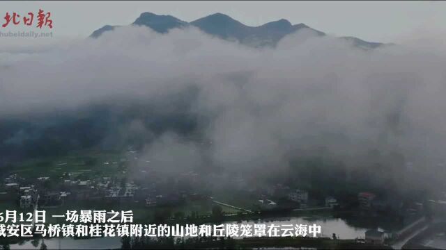 山绿水清,成就了咸宁“天然氧吧”