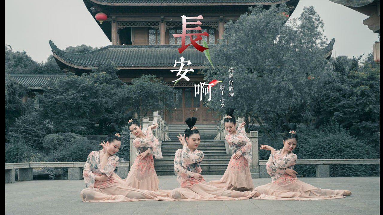 不知陛下可满意一日看尽长安花唯美古风舞蹈长安啊