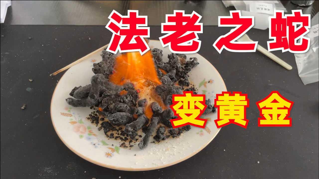 据说"法老之蛇"加入纯牛奶静置24小时,能产生化学反应变黄金?