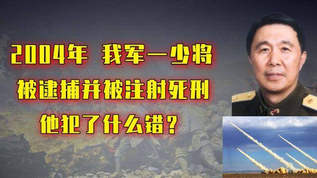 2004年,刘广智被逮捕并被立即执行死刑,他到底犯了什么罪?