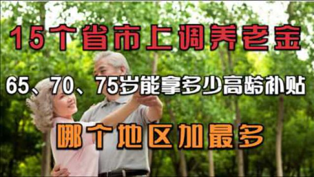 15个地区上调养老金:65、70、75岁拿多少高龄补贴?哪个省加最多